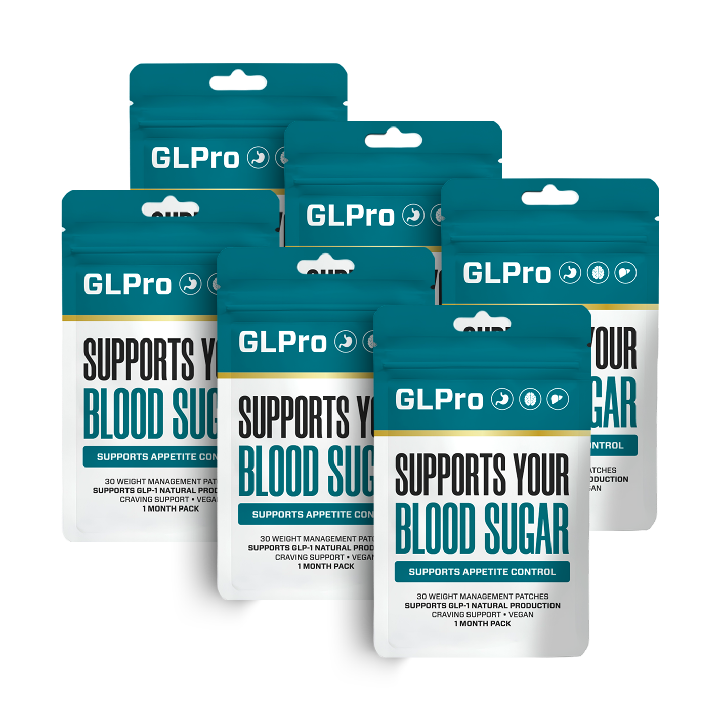 GLPro Patch six-pack bundle